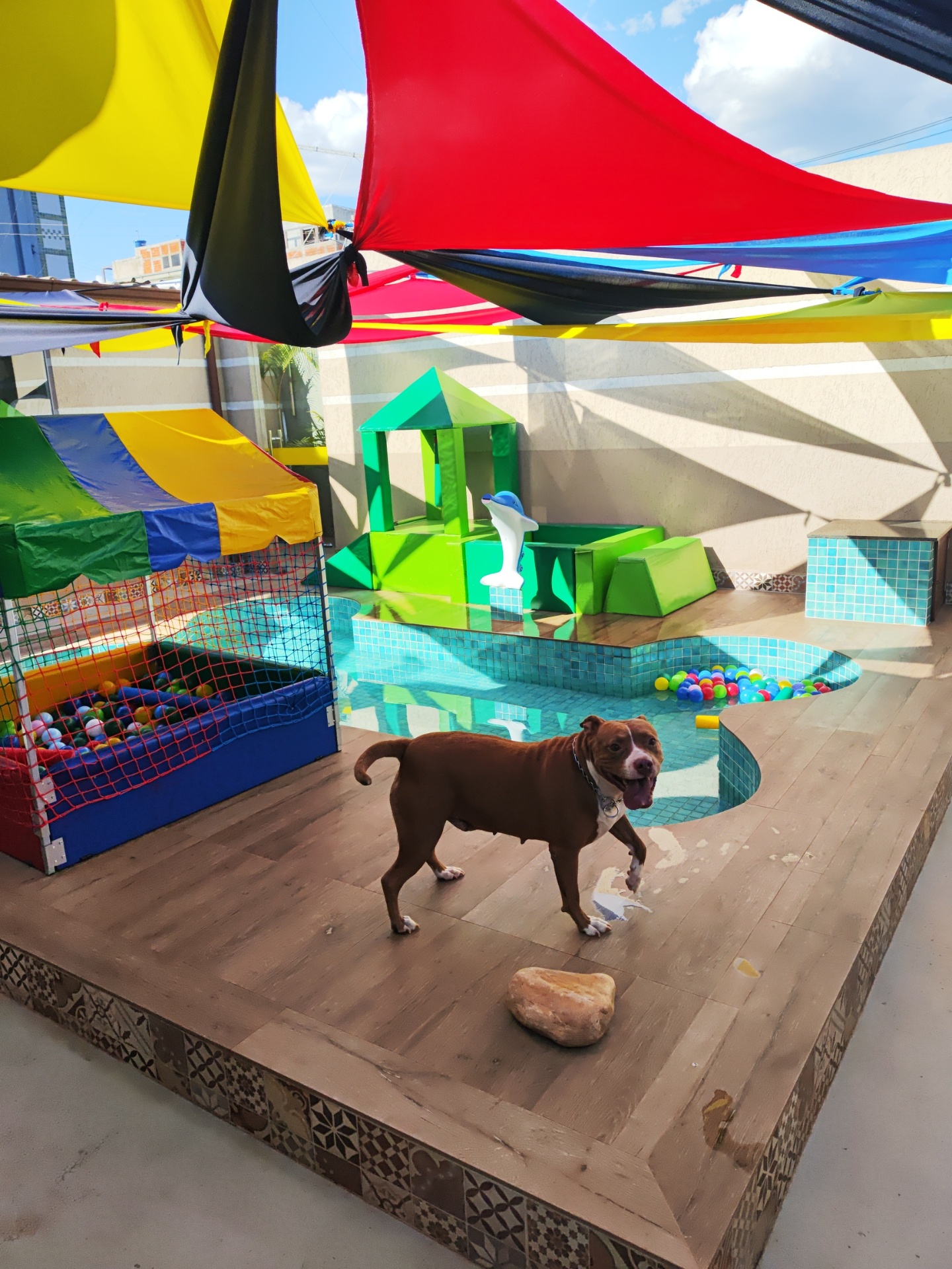 Hotel para Cães